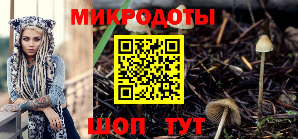 Галлюциногенные грибы GOLDEN TEACHER  Воронеж 